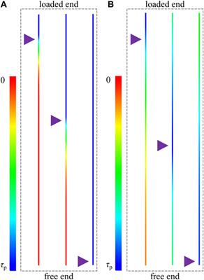 Analysis on the Shear Stress Propagation Mechanism in the Rock Reinforcement System